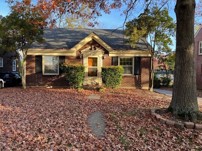 Photo - 217 Romany Rd House