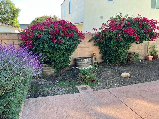 Garden - 131 Montecito Ave Unit B