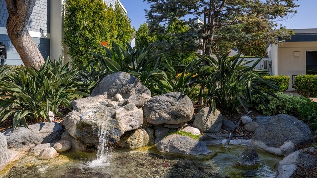 Crystal Springs
