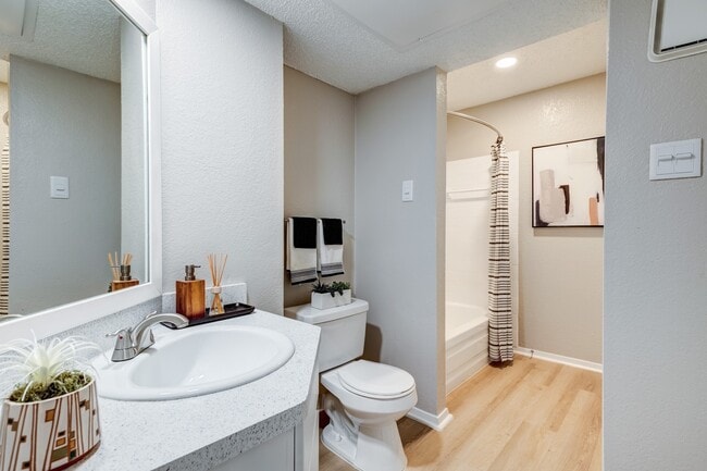 Newly Renovated Bathroom