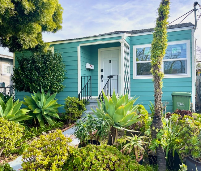 front yard - 1636 Ward Street