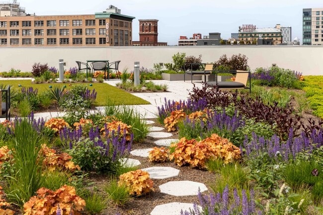 Mily en el techo verde con asientos verdes - Mily on Green