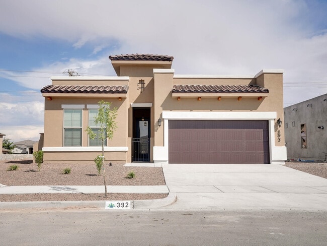 Photo - 392 Frodsham St