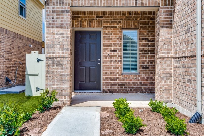 Photo - 17684 Tree of Heaven