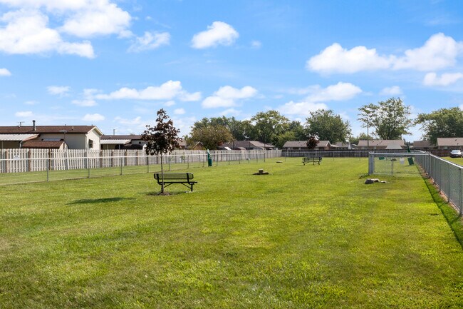 Dog Park