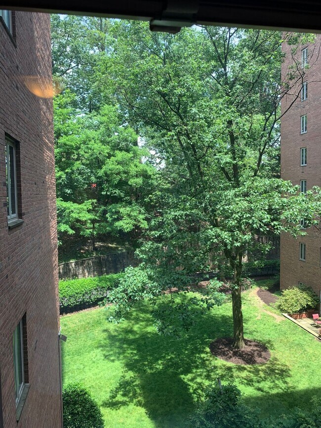 Photo - 4301 Massachusetts Ave NW Unit 1002