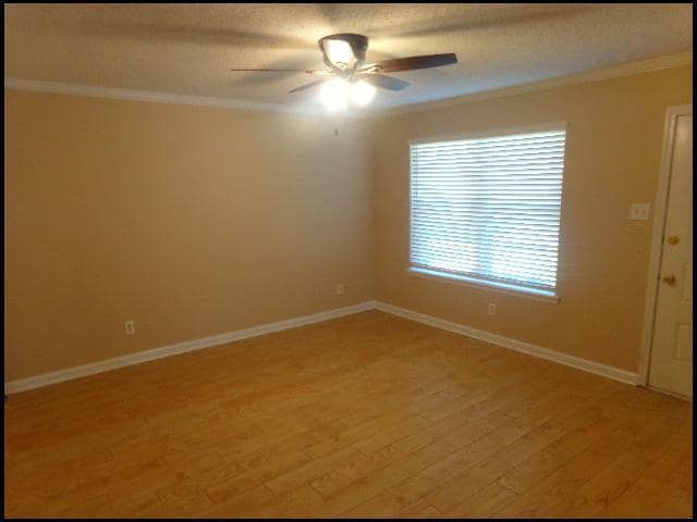 Photo - 15 Lillie St