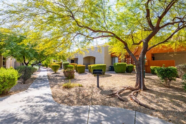 Paradise Foothills Apartment Homes