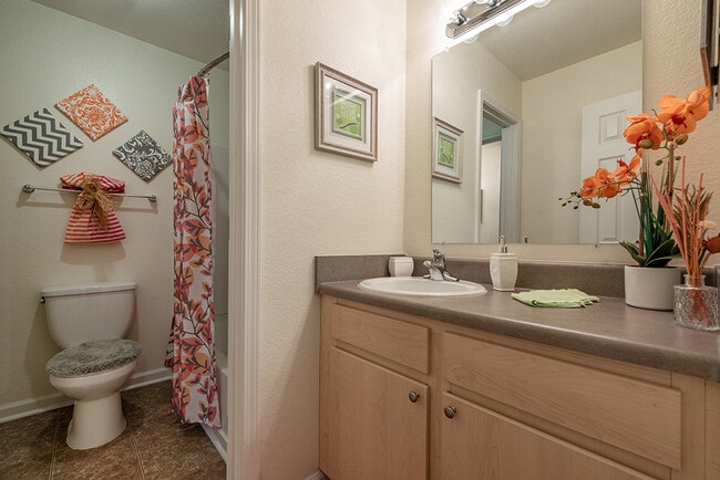 Bridge Pointe Apartments and Townhomes