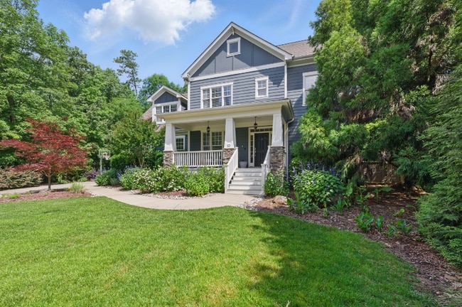 Photo - 10 Brown Bear