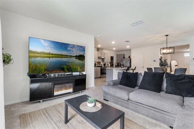 Photo - 2769 Reddish Egret Bnd