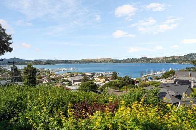 Building Photo - Sun-Filled Furnished Sausalito Home with Sweeping Bay Views
