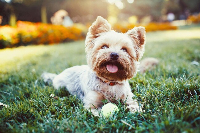 Photo - Lexington Park