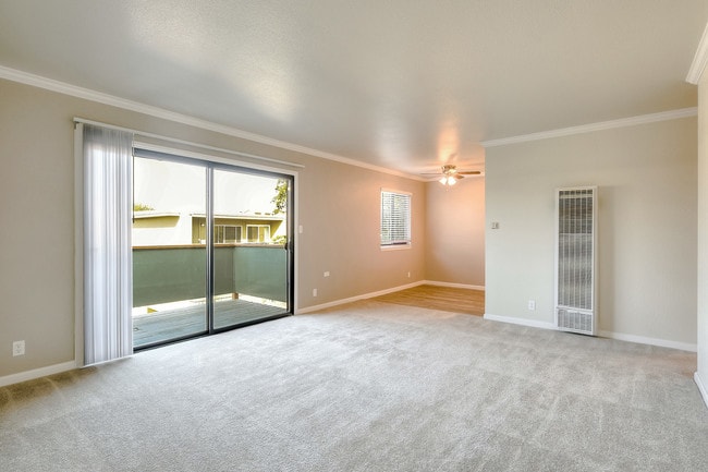 Photo - Cedar Apartments