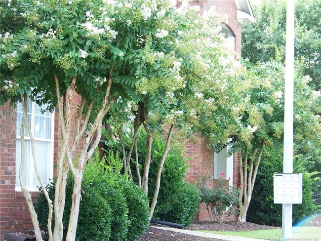 Photo - 513 Meadowland Ct