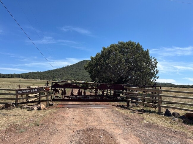 Photo - 236 Co Rd 3144