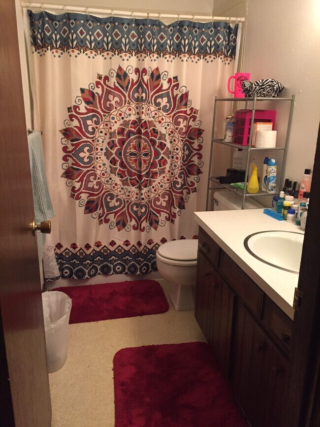 Bath - 209 E 6th St Unit 101