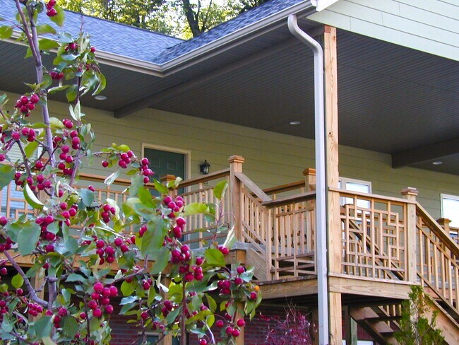 Woods at Latimer (1 bed/1 bath community)