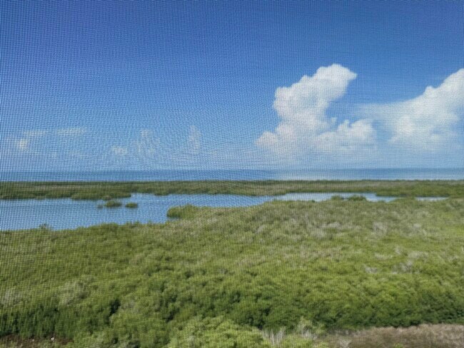 Photo - 1001 Arbor Lake Dr Unidad 0000