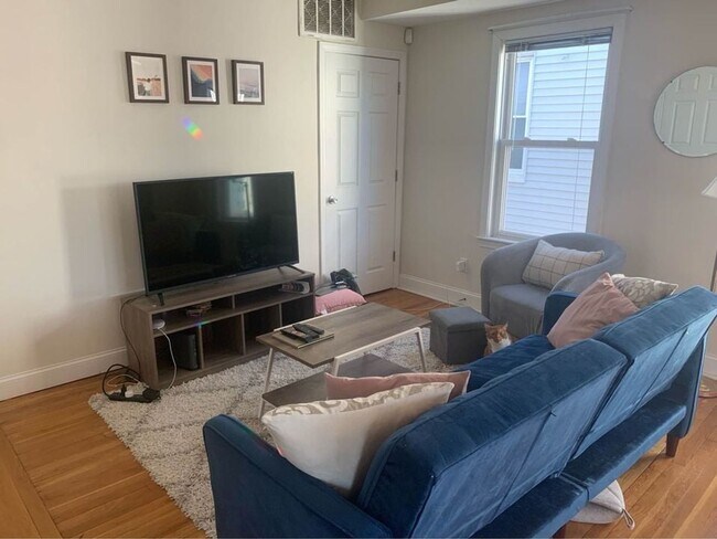 Photo - Modern Apt w Laundry in Unit, Heart of Coolidge Corner!  2 Full Bathrooms and Sunny!