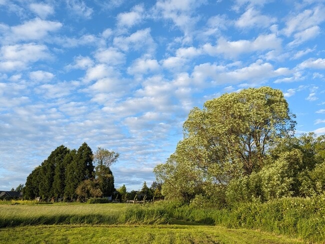 Building Photo - 19105 NE 112th Ave Unit B