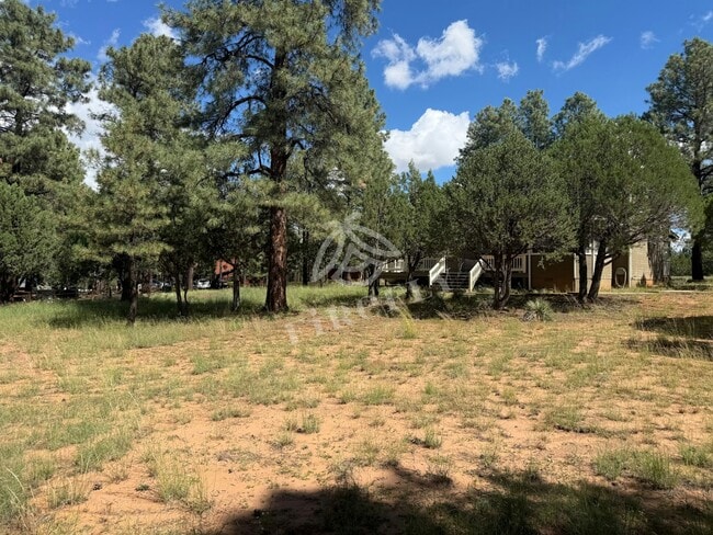 2974 Wapiti Dr