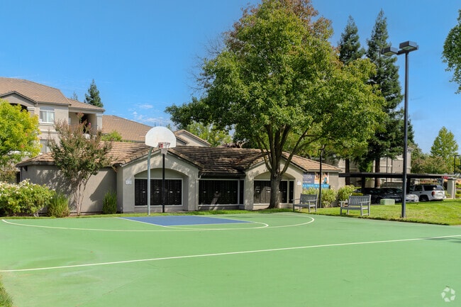Basketball Court