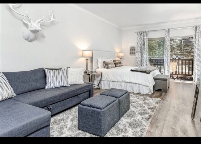 Photo - Downtown! Gorgeous Main Floor Furnished Studio