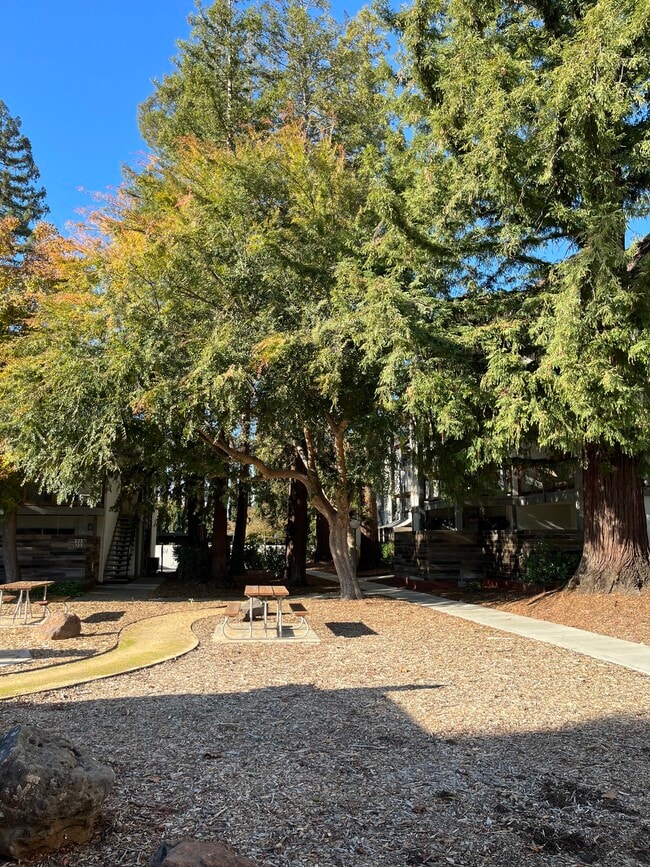 Photo - 4081 Clayton Rd Unit 132