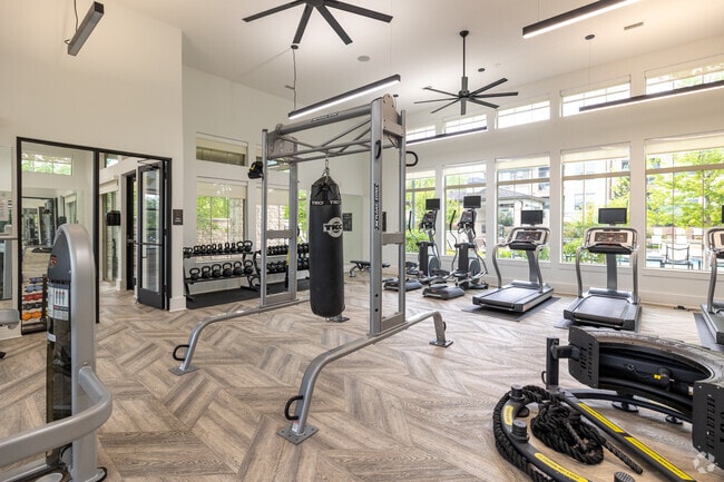 Gimnasio
