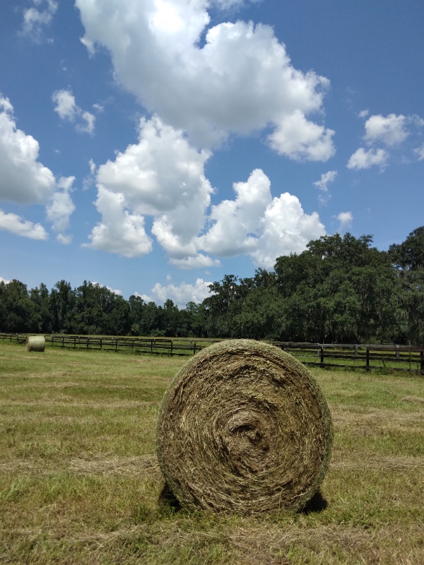 Photo - 8035 NW 120th St Unit Stables Apt 1