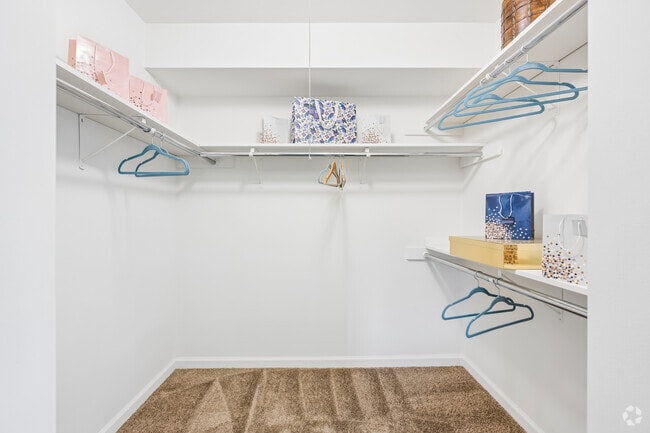 2BR, 1BA - 879SF - Closet