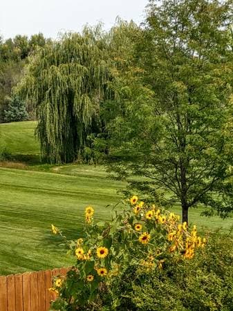 Photo - 302 N 50th Ave