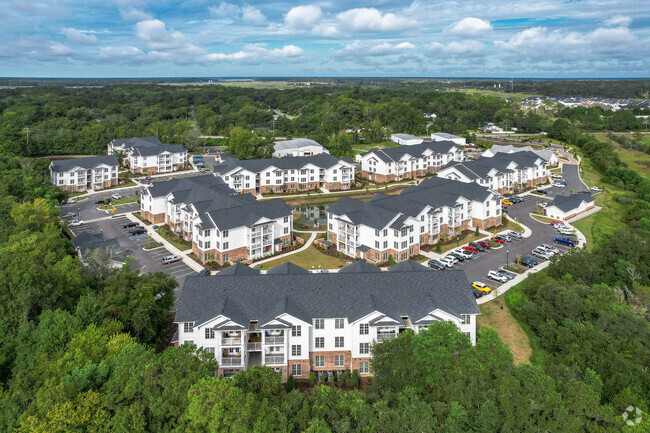 Aerial - Palisades of Charleston Rental