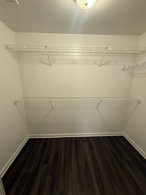 Master Closet