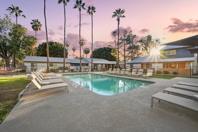 Sunrise in Chandler Pool - Sunrise in Chandler