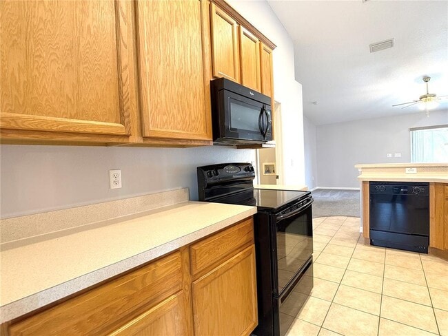 Photo - 310 White Ibis Ln