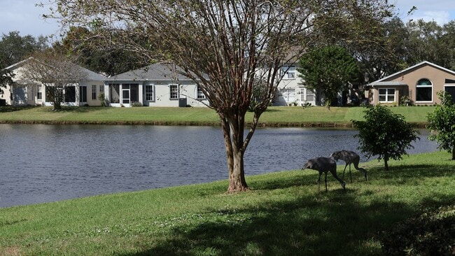 Photo - 7035 Hammock Trace Dr