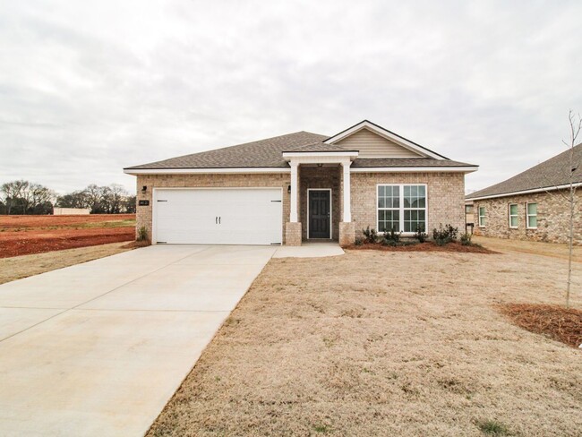 Stunning new home and MOVE IN Ready! - Stunning new home and MOVE IN Ready!