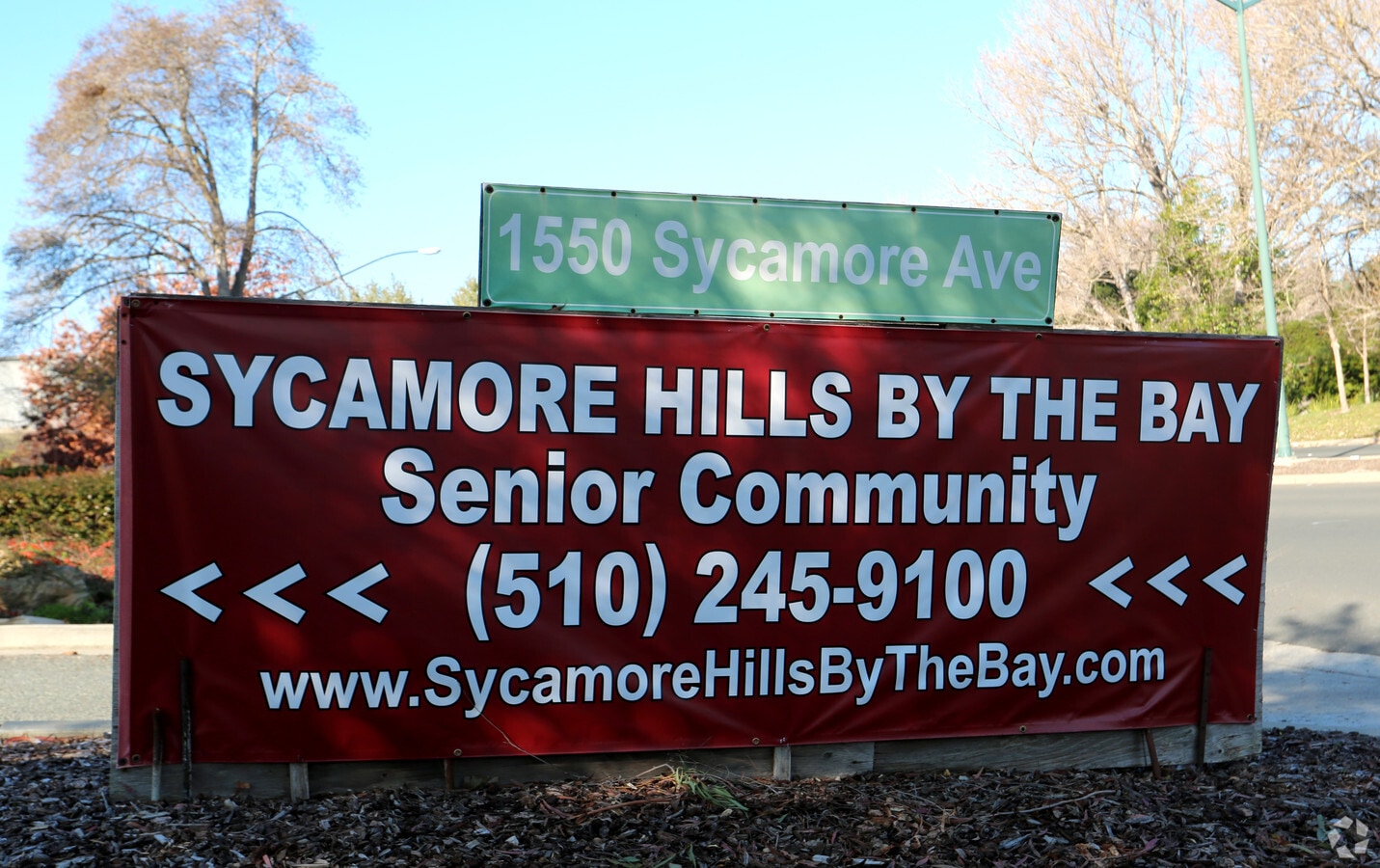 Photo - Sycamore Hills By The Bay (Senior)