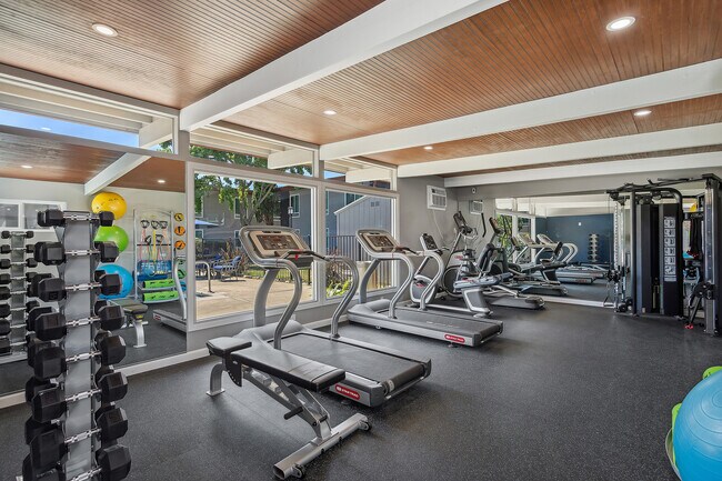ReNew on Coloma