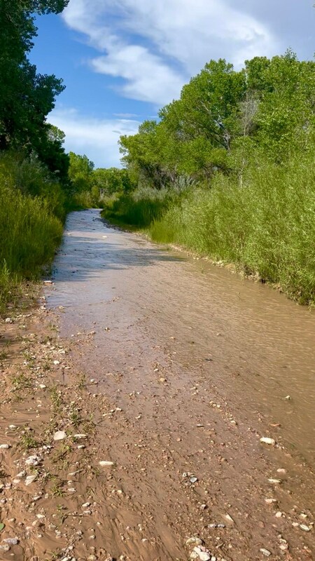 Photo - 28 NM-503 Unit A