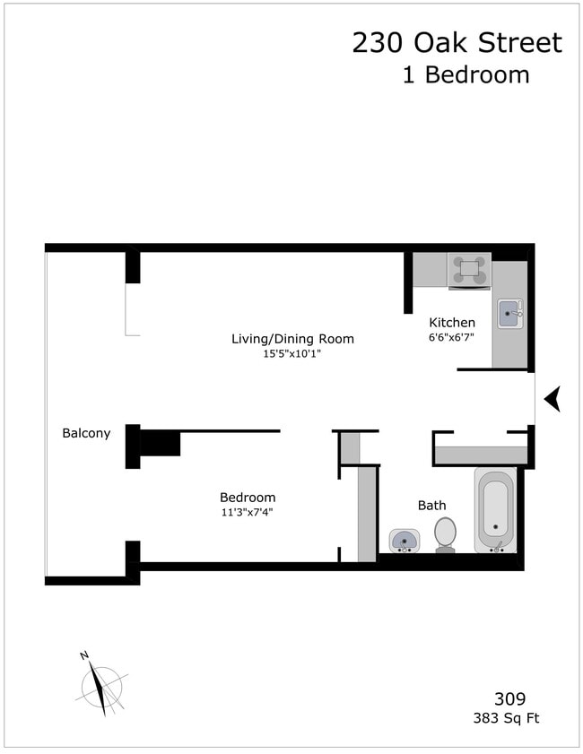 230 Oak St Unit 309