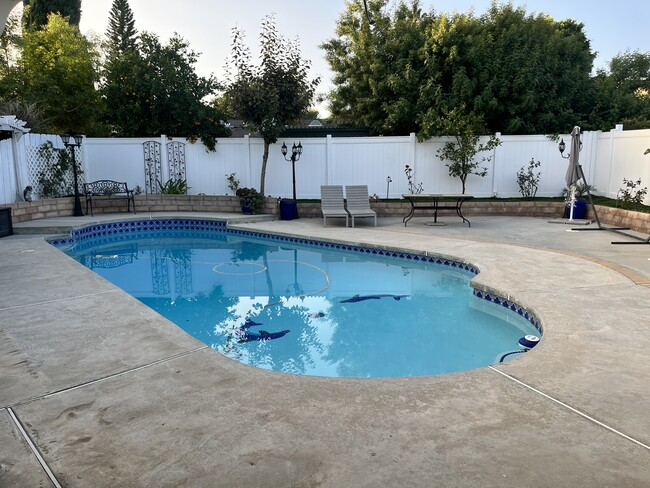 Pool - 19926 Cantara St