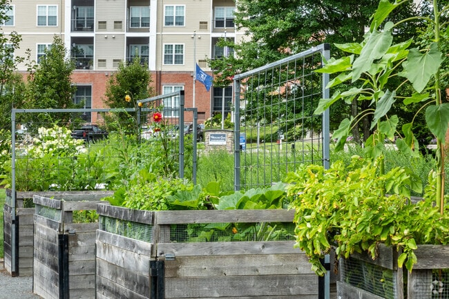 Community Garden