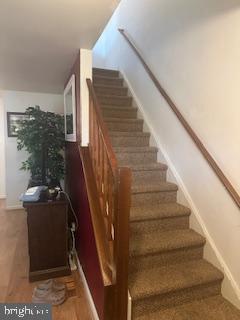 Photo - 252 Douglas St