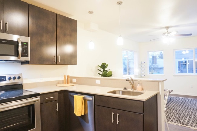 Photo - The Woodstock!