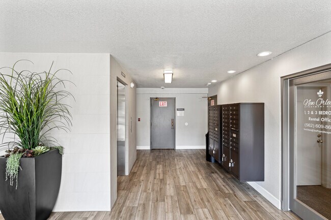 Photo - New Orleans Apartamentos Unidad 305