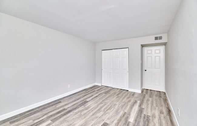 Photo - Kirkwood Forest