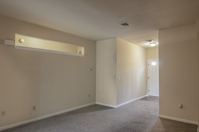 Photo - Steeple Chase